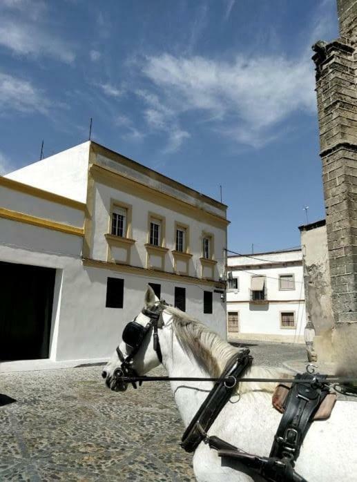 Azafran Jerez Apartamentos 赫雷斯 外观 照片